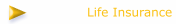 Life Insurance